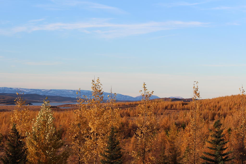 Hótel Eyvindará Egilsstadir Oda fotoğraf